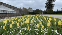 Attached image