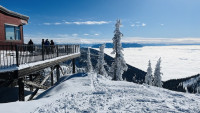 Attached image